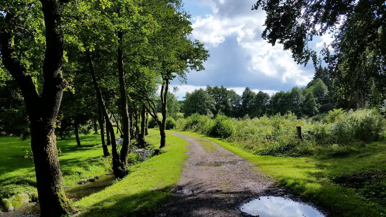 Les classes vertes : un éveil à l’environnement naturel