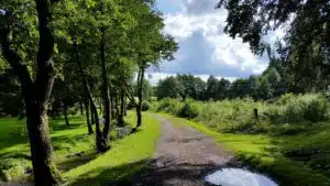 Les classes vertes : un éveil à l’environnement naturel