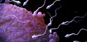 Quelles sont les causes de la stérilité masculine?