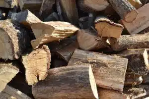 Le bois bûche répond au froid
