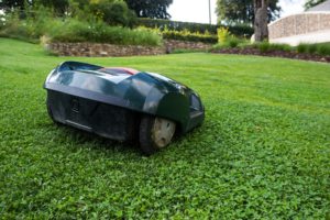 Le top 5 des tondeuses à gazon électriques