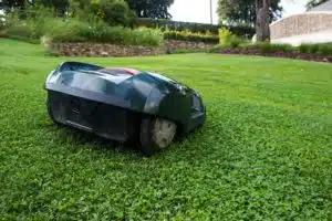 Le top 5 des tondeuses à gazon électriques