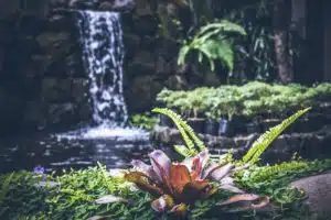 Comment embellir son jardin avec de l’eau