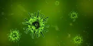 Les maladies les plus meurtrières de tous les temps