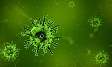 Les maladies les plus meurtrières de tous les temps