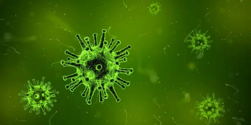 Les maladies les plus meurtrières de tous les temps