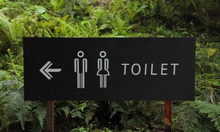 L’eau de pluie pour les toilettes : un geste écologique