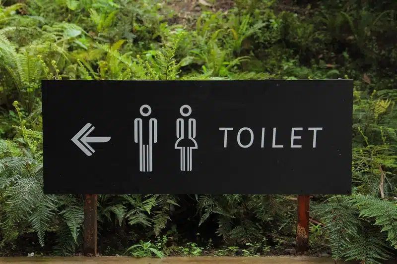 L’eau de pluie pour les toilettes : un geste écologique