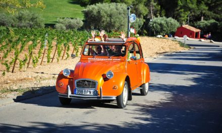 Village de vacances dans le Var : A la découverte du terroir