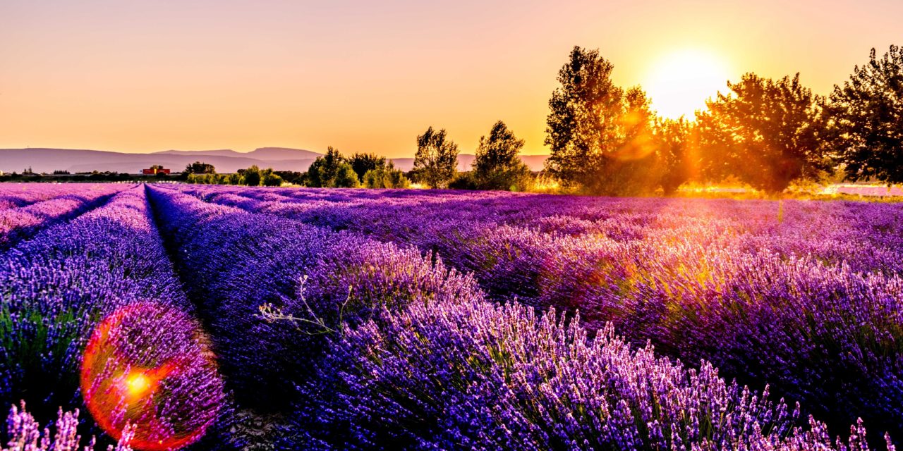 Destination vacances : Investissement dans une villa en Provence