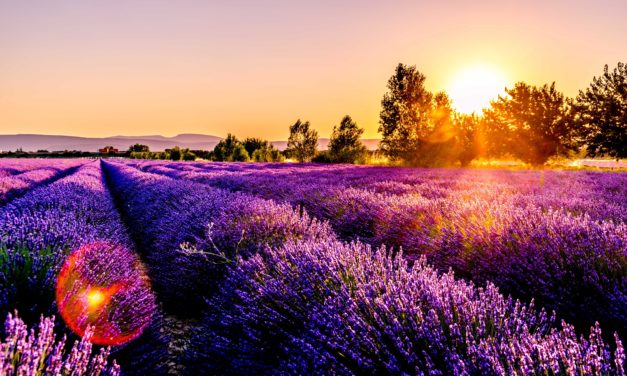 Destination vacances : Investissement dans une villa en Provence