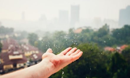 La filtration d’eau de pluie pour les entreprises