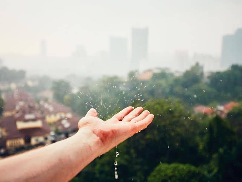 La filtration d’eau de pluie pour les entreprises
