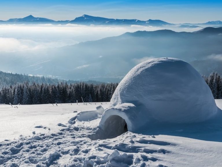 Un Noël pas comme les autres à la montagne