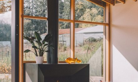 Maisons en blocs de bois isolés : les avantages