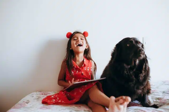 Enfants HP : haut potentiel intellectuel et émotionnel