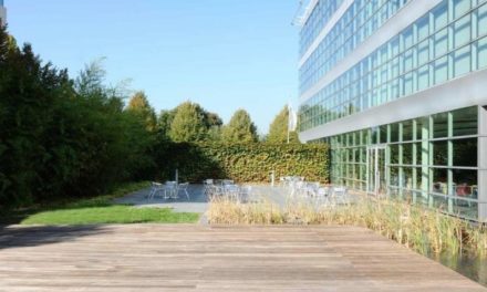 Redynamisation des villes à travers la rénovation du patrimoine