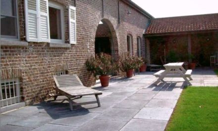 Et si vous optiez pour une terrasse en pierre bleue du Hainaut reconstituée ?