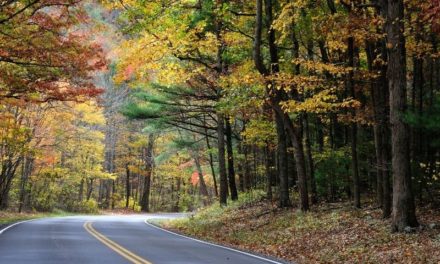Voyager en automne avec un camping-car : la nouvelle tendance