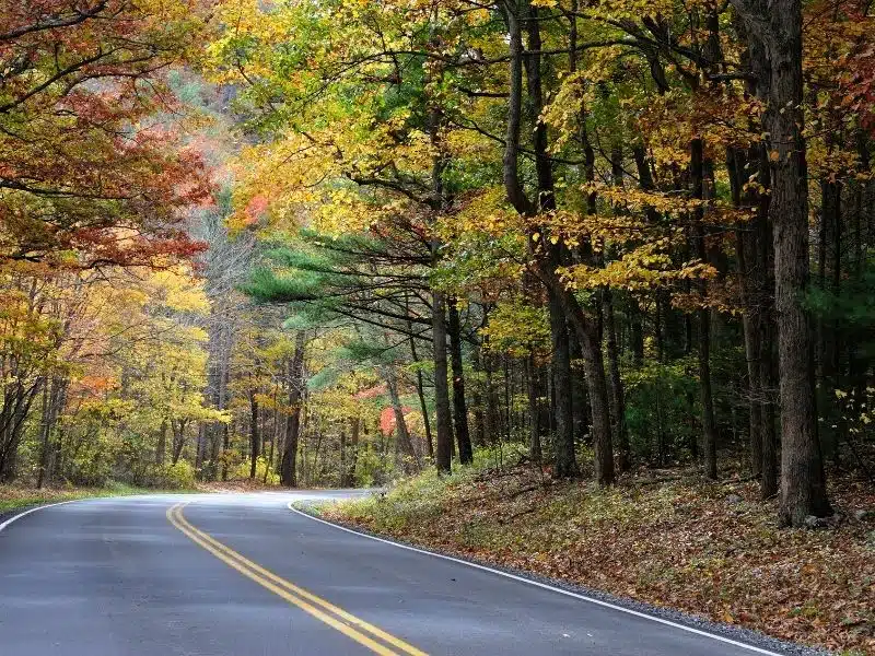 Voyager en automne avec un camping-car : la nouvelle tendance