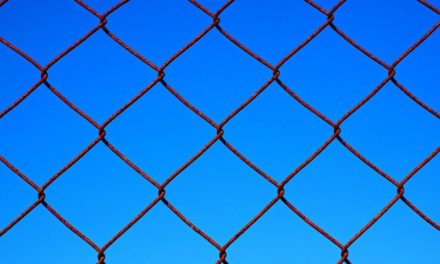 Les avantages du grillage souple pour clôturer votre extérieur