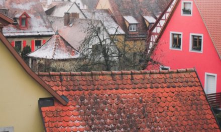 Pourquoi passer par un démoussage de toiture ?