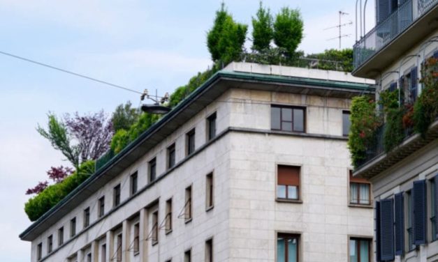 Végétaliser un toit plat : un projet aux nombreux avantages