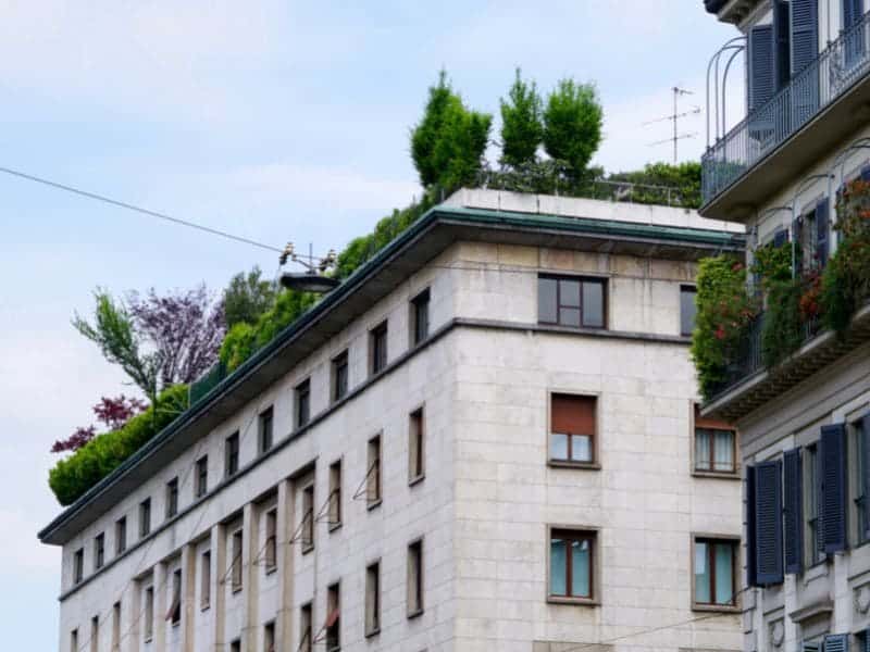 Végétaliser un toit plat : un projet aux nombreux avantages