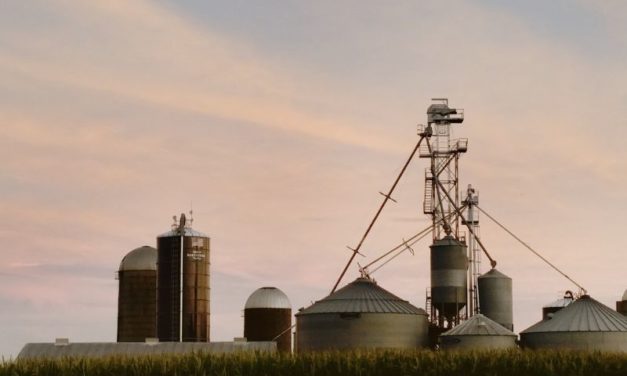La micro station d’épuration pour laiterie, un système particulièrement efficace