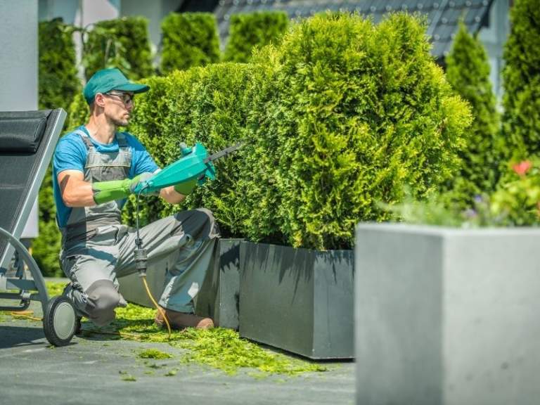 Quelles étapes pour un aménagement extérieur réussi ?