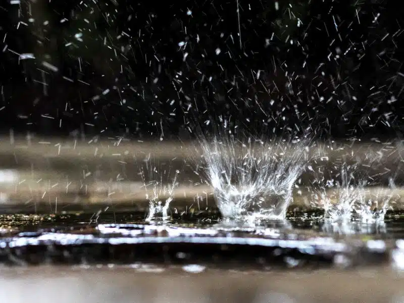 Entretien citerne eau de pluie