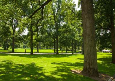 pourquoi entretenir le parc de votre entreprise ?