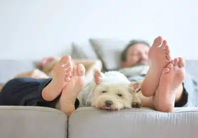 3 raisons de faire appel à une entreprise en isolation à Liège