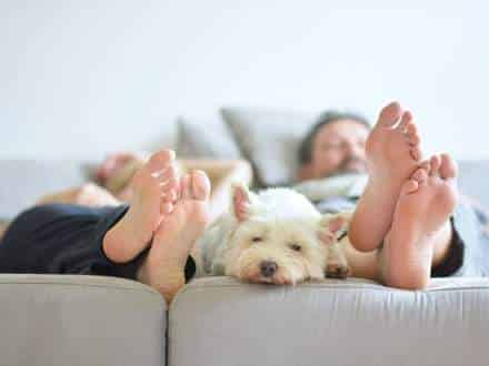 3 raisons de faire appel à une entreprise en isolation à Liège