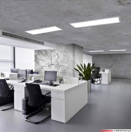 Faux plafond : quelles différences entre plafond suspendu et plafond tendu ?