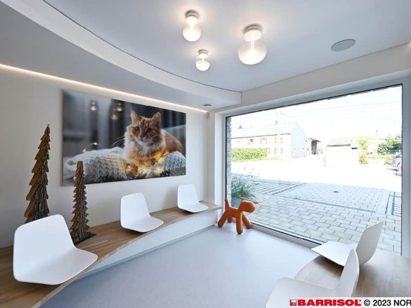 Les Différents Types de Plafond Tendu Proposés Chez Barrisol