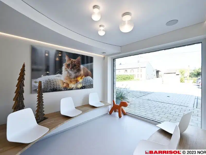 Les Différents Types de Plafond Tendu Proposés Chez Barrisol