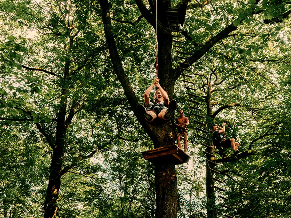 3 idées d’activités à tester dans un parc aventure