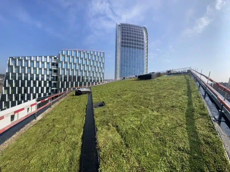 Toit vert sur un bâtiment dans une zone urbaine